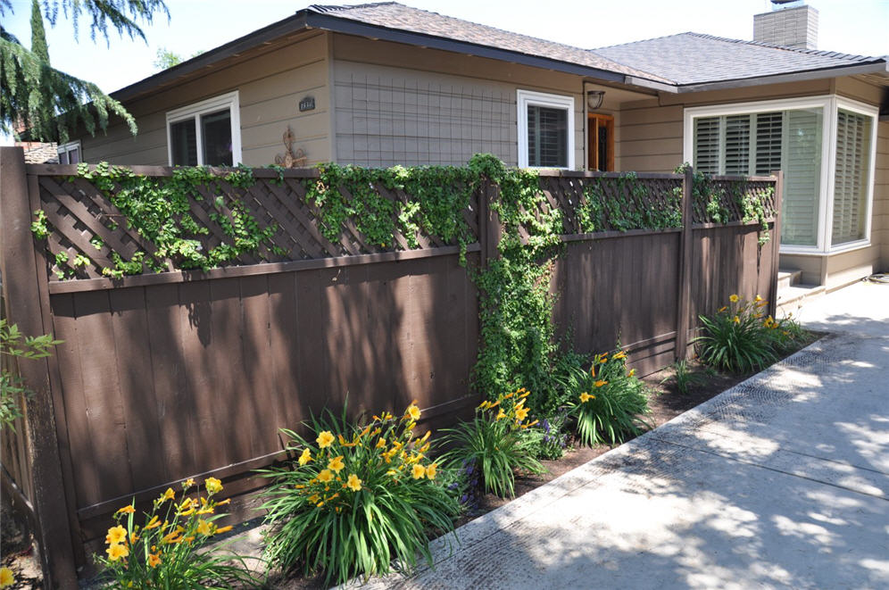 Fence and Plantings