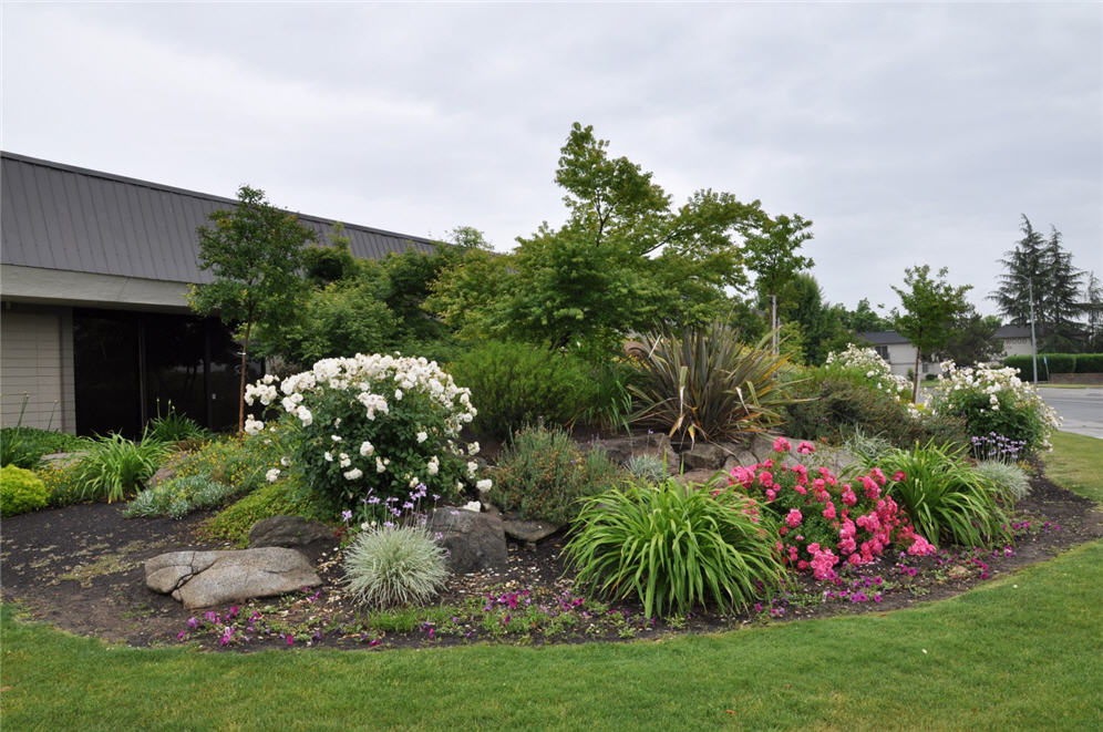 Large Berm of Color