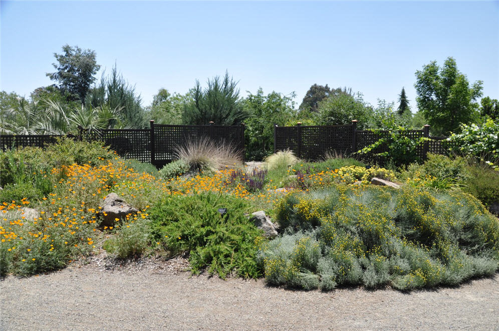 Botanical Garden Bed IV