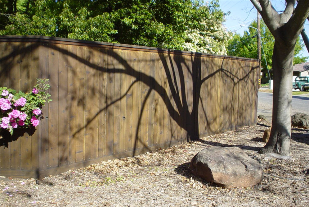 Stained Pine Fence