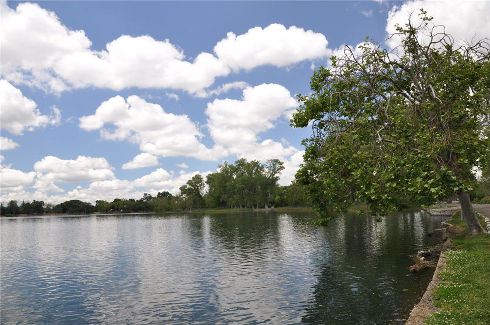 Lodi Lake 6