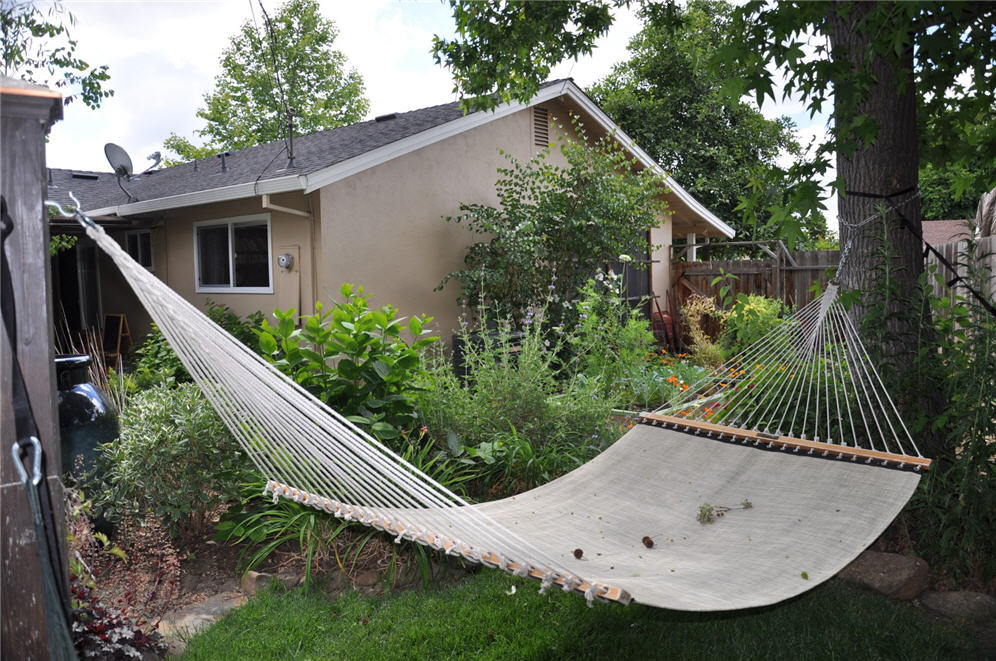 Alder Garden Hammock