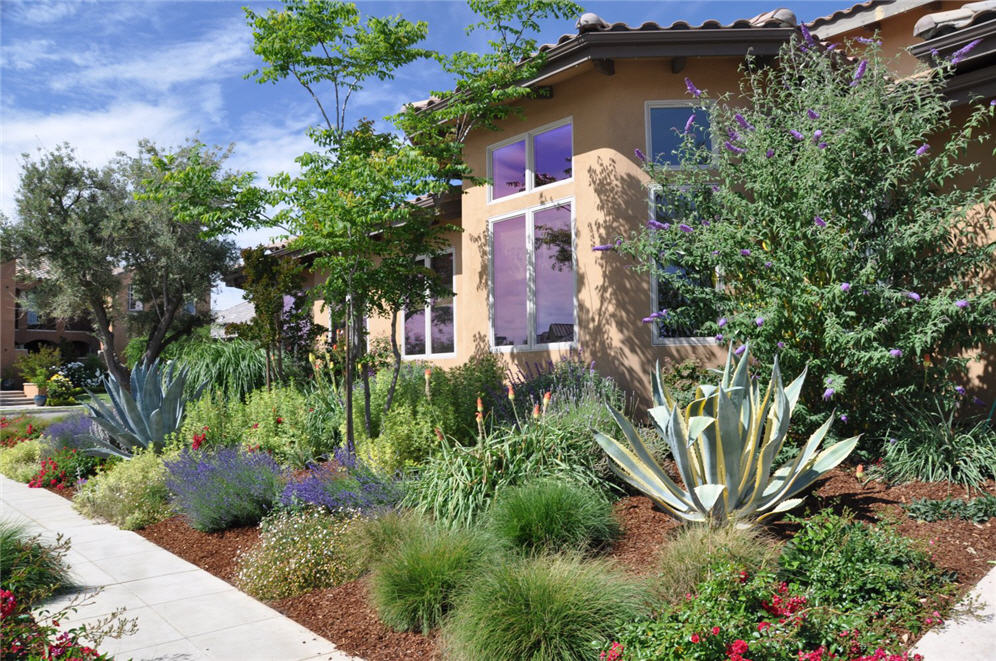 Color Pops Against Mulch