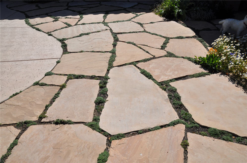 Flagstone with Creeping Thyme