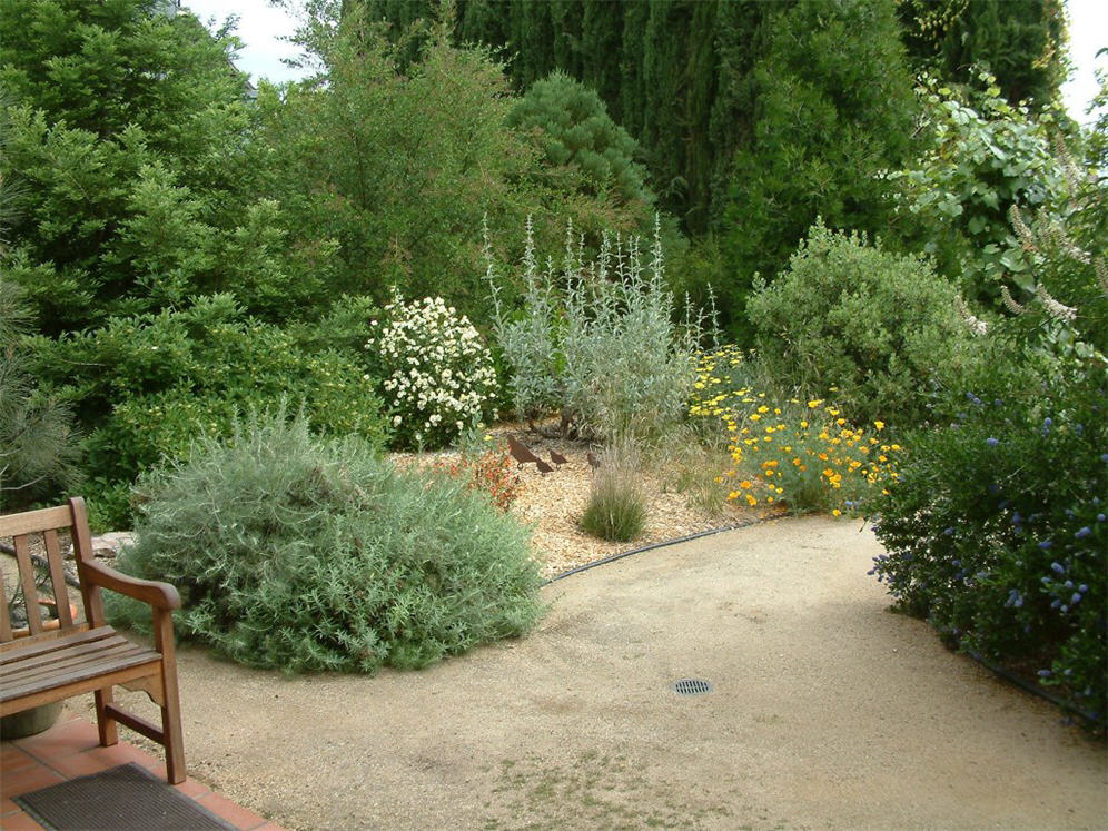 Backyard Native Bed