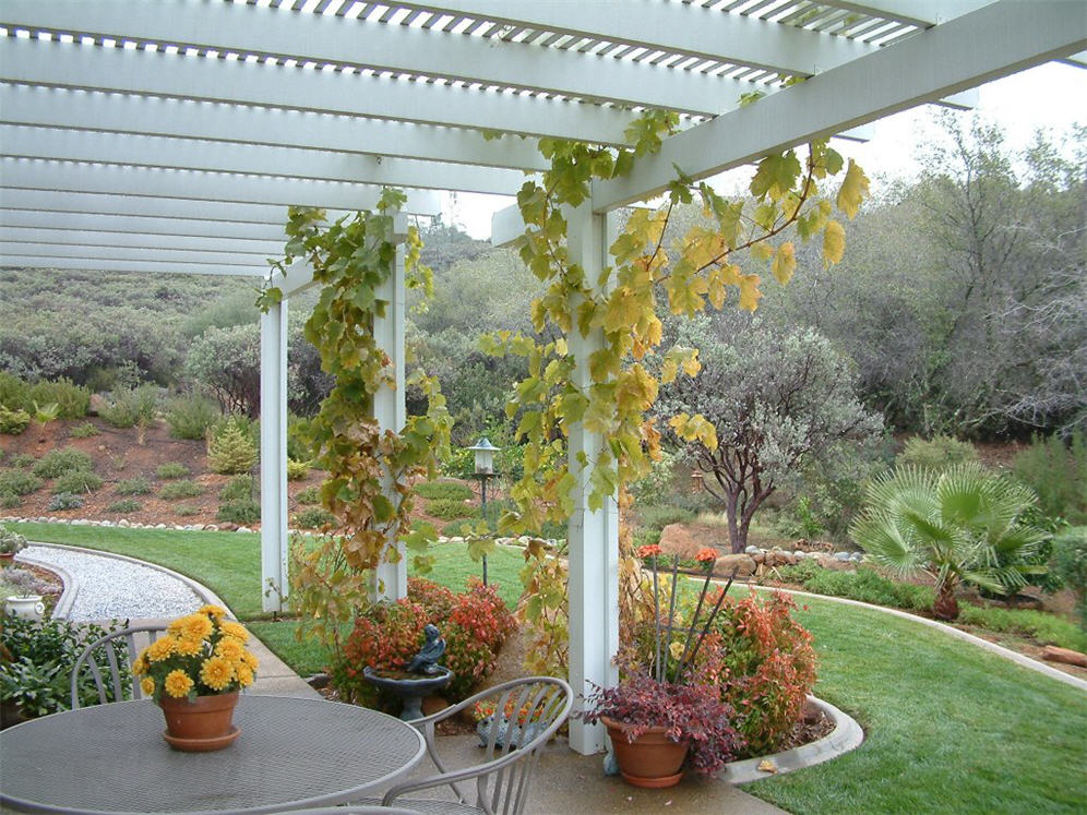 Trellis and Patio Detail