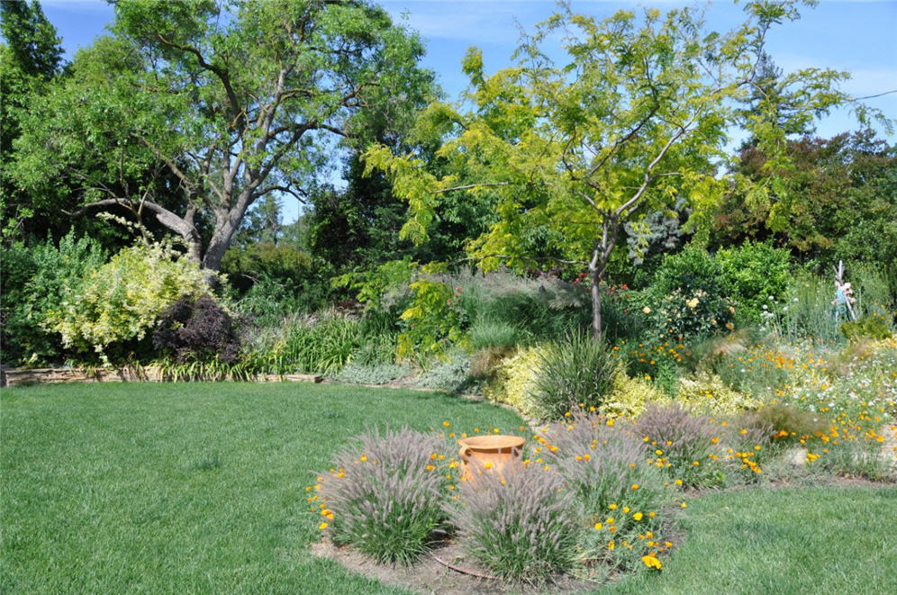 Meadow Garden