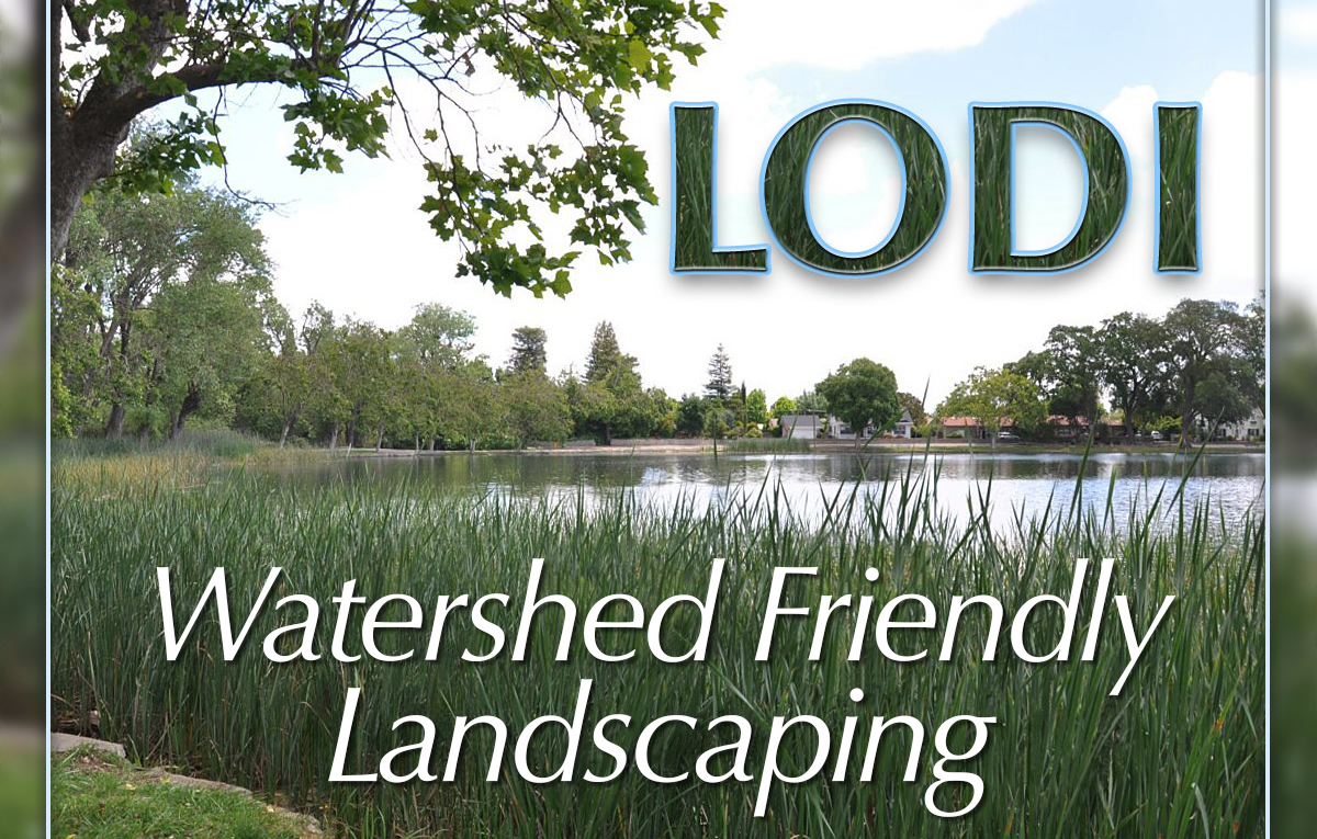 Lodi's Watershed Friendly Landscaping